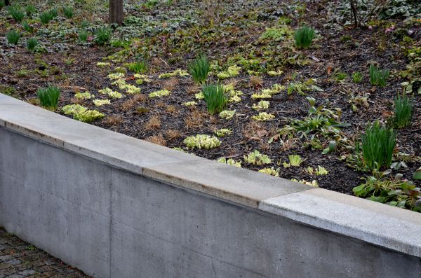 Concrete Wall Construction in Turlock