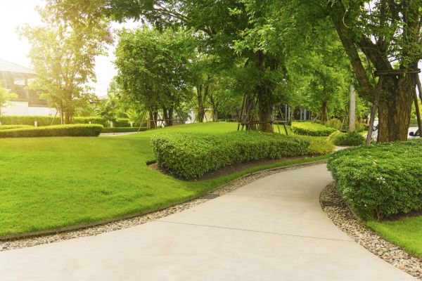 Walkway Concrete Installation in Turlock
