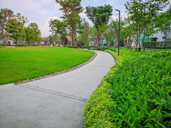 Cement Walkway Service in Turlock