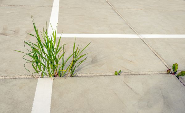 Concrete Parking Installation in Turlock