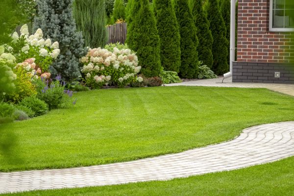 Landscape Walkway Installation in Turlock